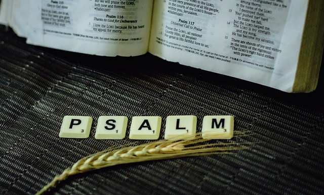 PSALM 91