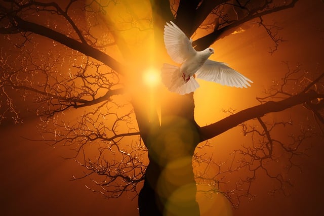 GRACE FOR EVERY SEASON